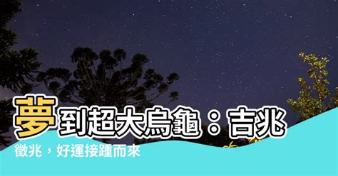 撿到烏龜號碼|夢到烏龜的吉兆：解讀夢境，迎好運 